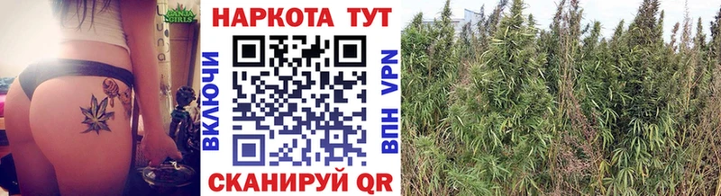 Купить закладку КОКАИН  Псилоцибиновые грибы  Меф мяу мяу  Alpha-PVP  Заречный