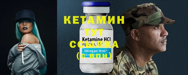 дмт Ельня
