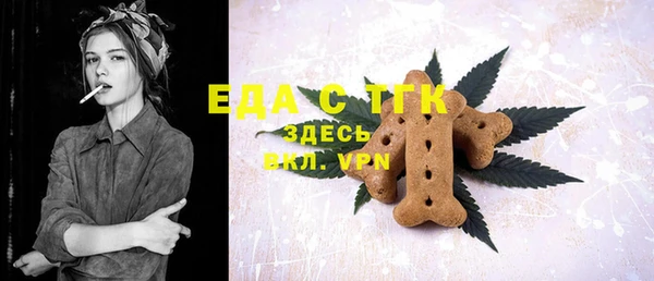 дмт Ельня
