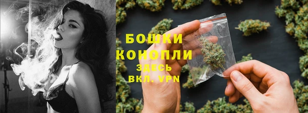 дмт Ельня