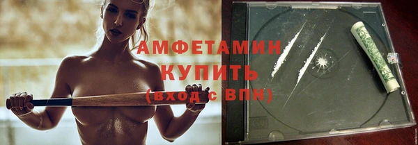 дмт Ельня