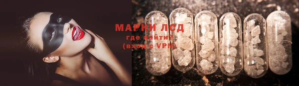 дмт Ельня