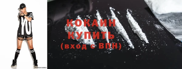 дмт Ельня