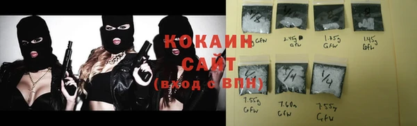 дмт Ельня