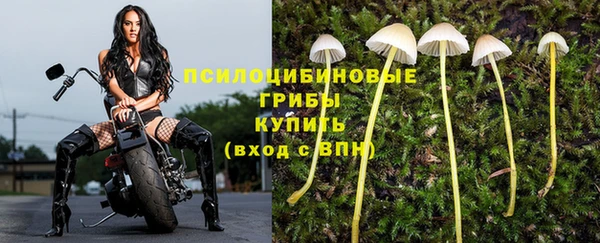 герыч Елизово