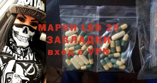 дмт Ельня