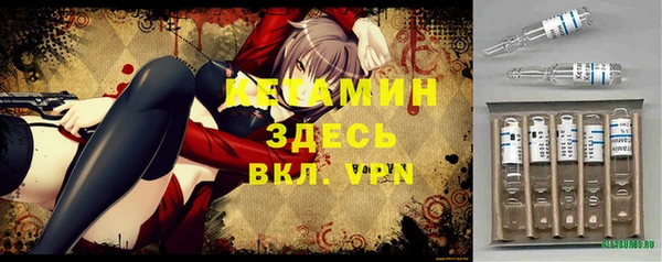 дмт Ельня
