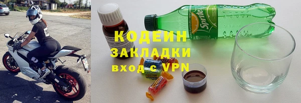 дмт Ельня