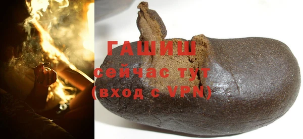 дмт Ельня