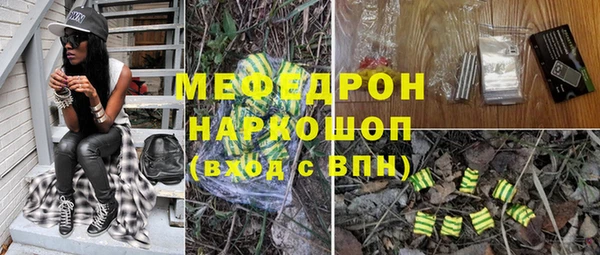дмт Ельня