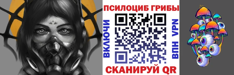 Галлюциногенные грибы Psilocybe  Купить закладки  Заречный 